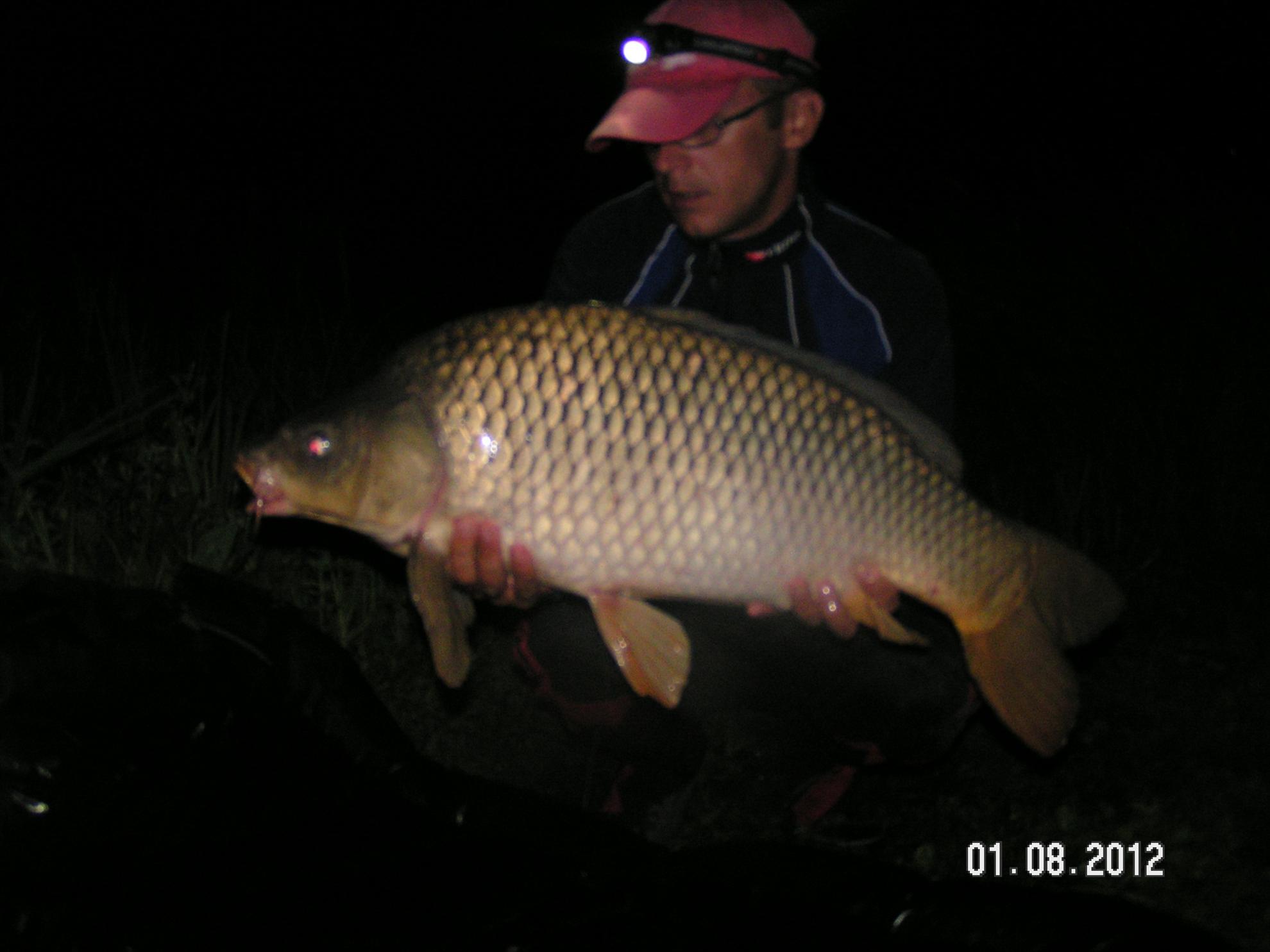 Lates 1-2.08.2012 - pict0932.JPG